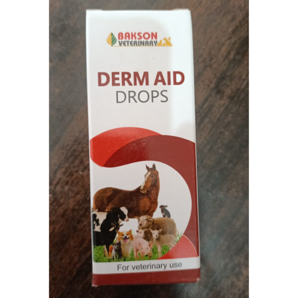 Derm Aid Drops - Bakson Homeopathy