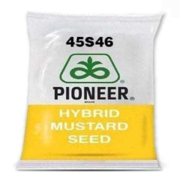 Hybrid Mustard Seed-Image
