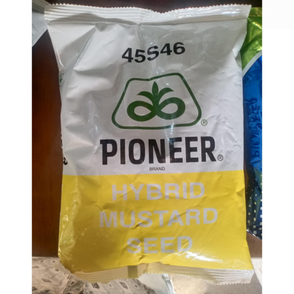 Hybrid Mustard Seed - PIONEER