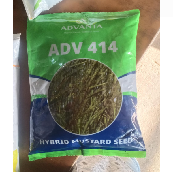 Hybrid Mustard Seed - Advanta Seeds