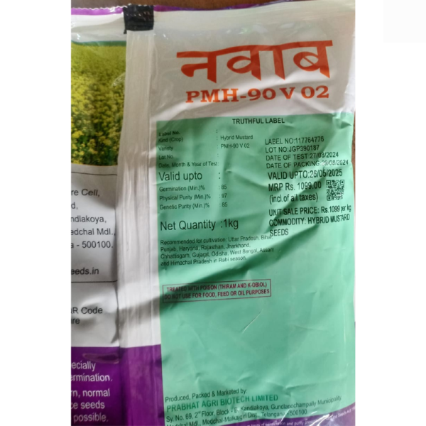 Hybrid Mustard Seed - Prabhat Seeds
