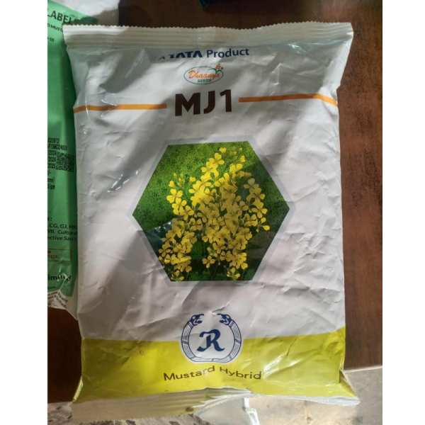 Hybrid Mustard Seed - Tata