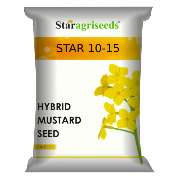 Hybrid Mustard Seed-Image