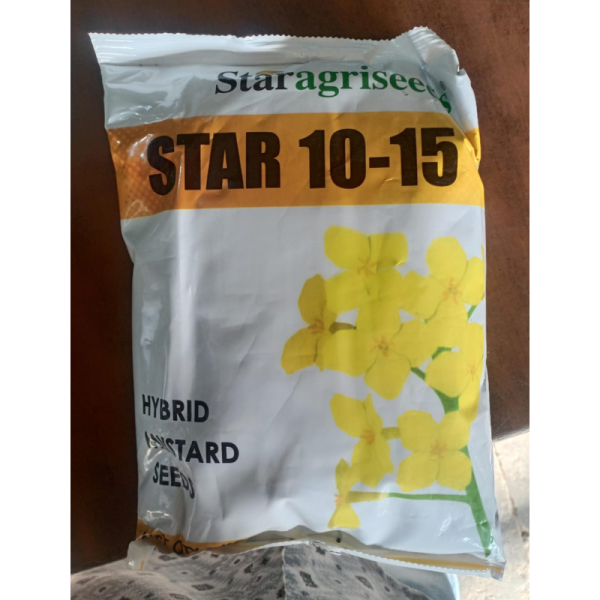 Hybrid Mustard Seed - Staragriseeds