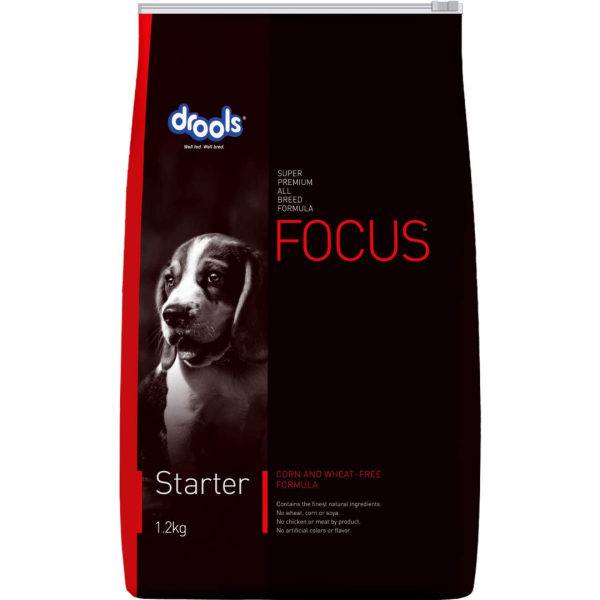 Dry Dog Food-Image