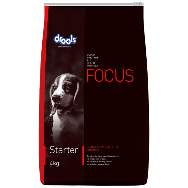 Dry Dog Food-Image