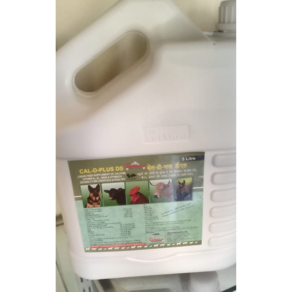 Cal D Plus Ds Liquid Feed Supplement - VetNova