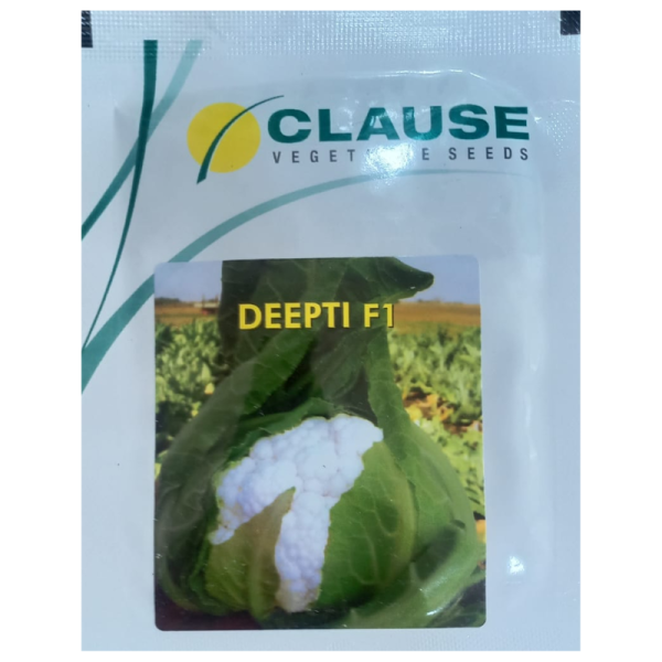 Cauliflower Seed-Image