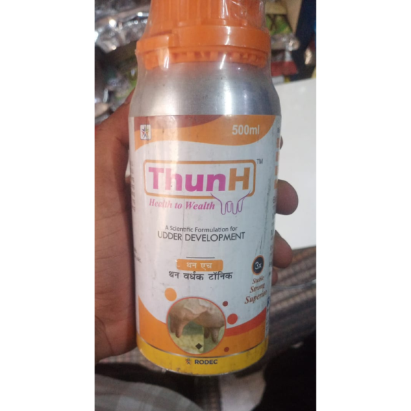 Thun H - Rodec