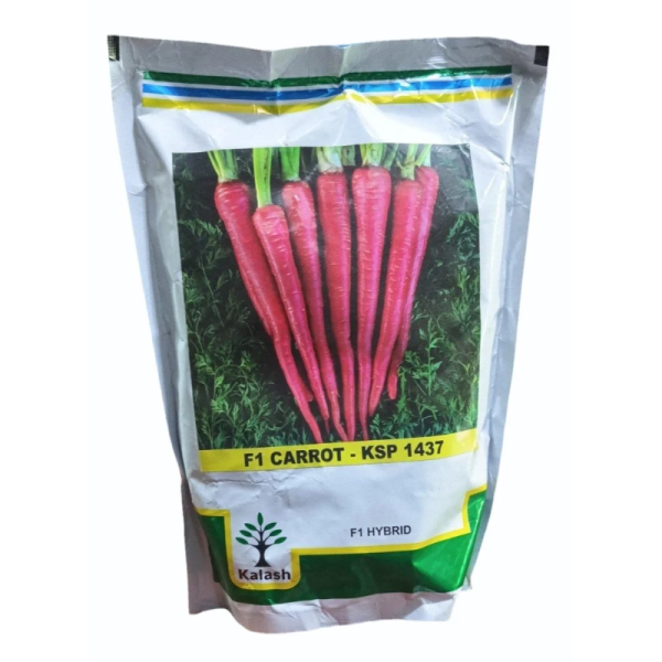 Carrot Seed-Image