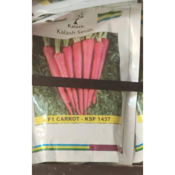 Carrot Seed - Kalash