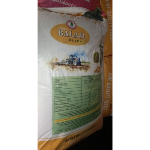Wheat 303 Seeds - Balaji Seeds