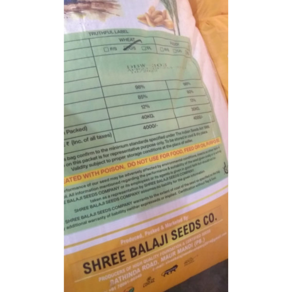 Wheat 303 Seeds - Balaji Seeds