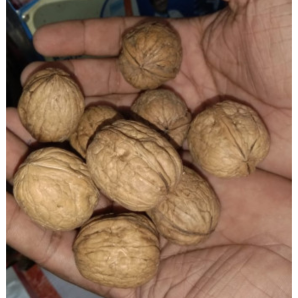 Walnuts - Generic