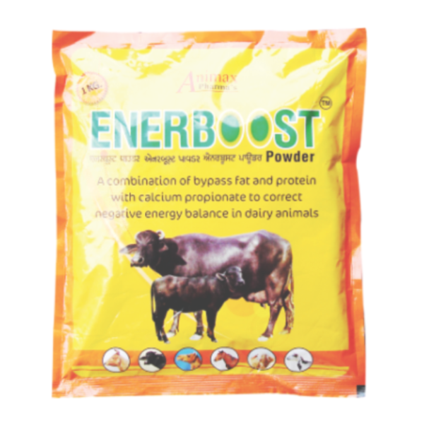 Enerboost-Image