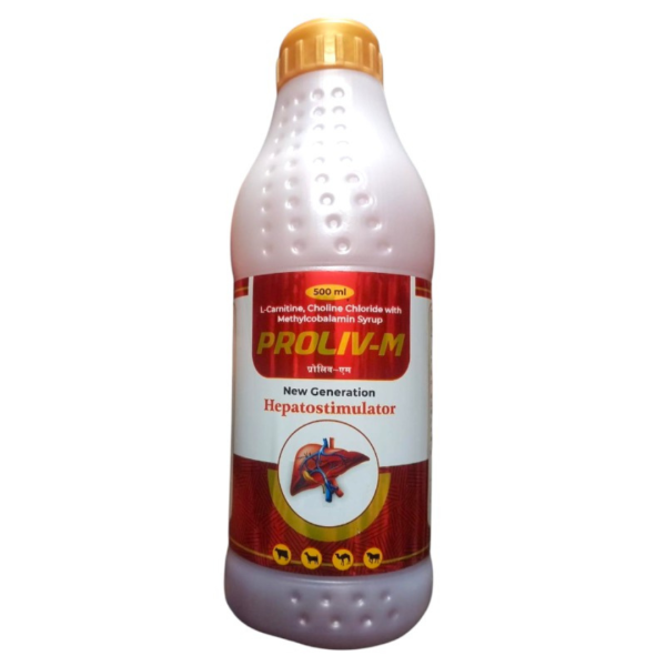 Proliv -M Syrup-Image