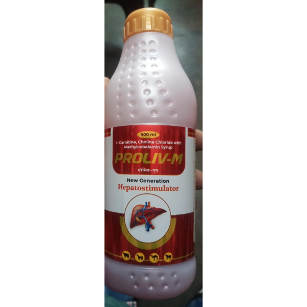 Proliv -M Syrup - Revamp Healthcare