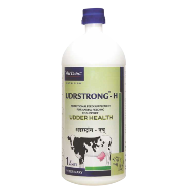 Udrstrong- H-Image