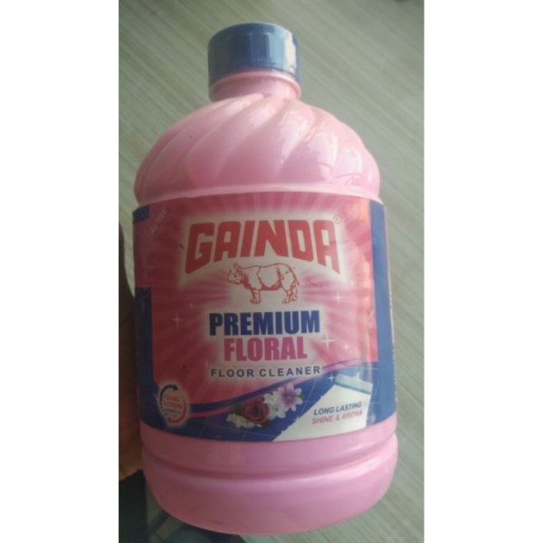 Floor Cleaner - Gainda
