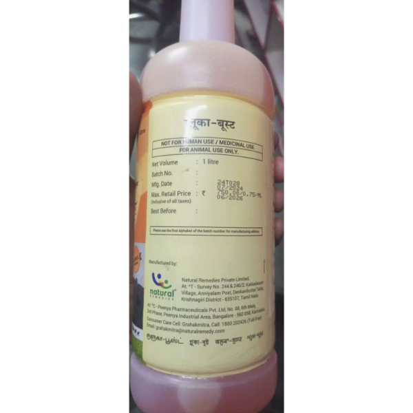 Gluca Boost - Natural Remedies Pvt.Ltd