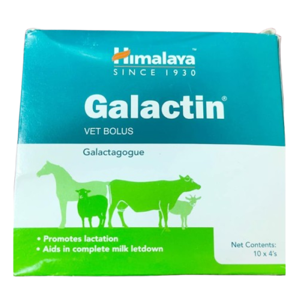 Galactin Vet Bolus-Image