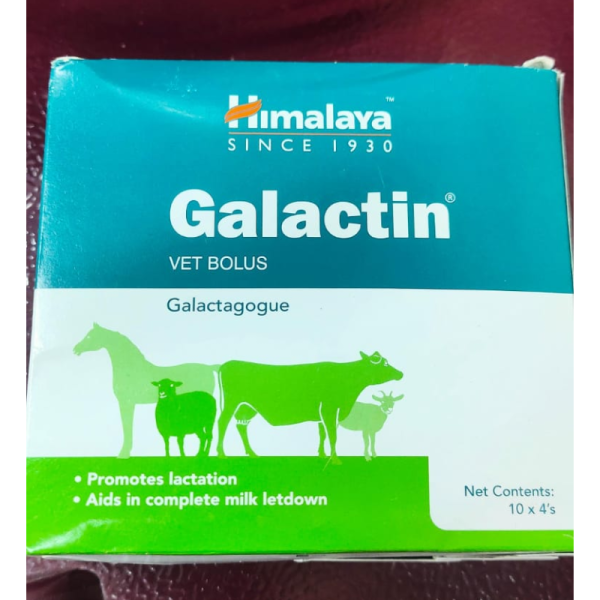 Galactin Vet Bolus - Himalaya