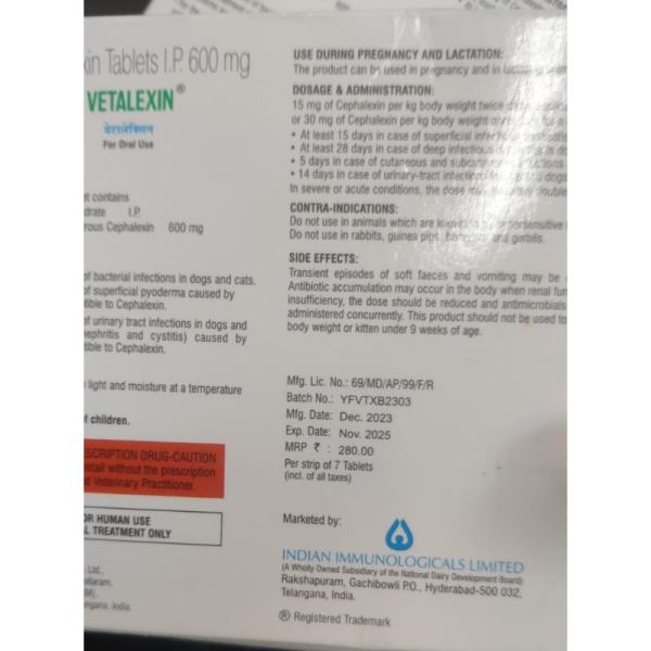 Vetalexin 600mg - Indian Immunologicals