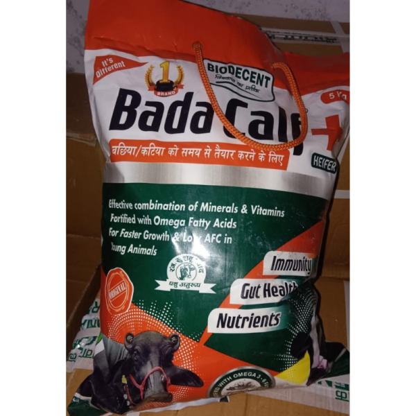 Bada Calf - BioDecent Pharma