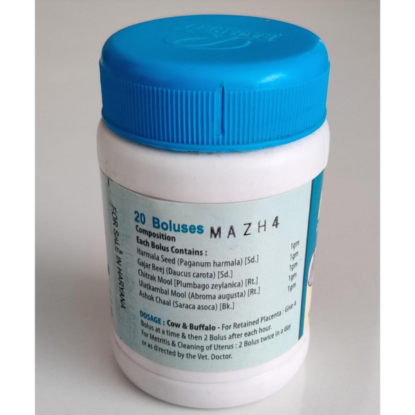 Metasil - Rajshree Drugs