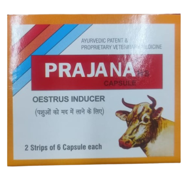 Prajana HS Capsule-Image