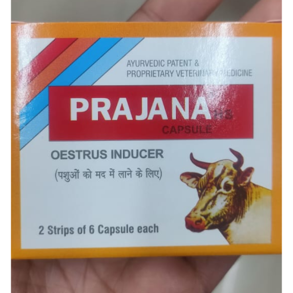 Prajana HS Capsule - Indian Herbs Specialities Pvt. Ltd.