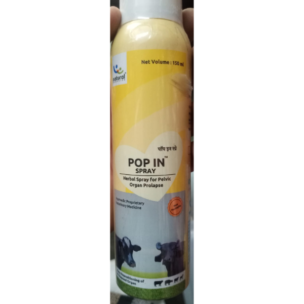 Pop In Spray - Natural Remedies Pvt.Ltd