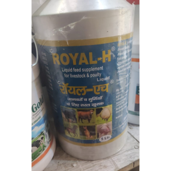 Royal-H - BTL Biosciences