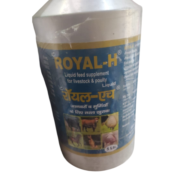 Royal-H-Image