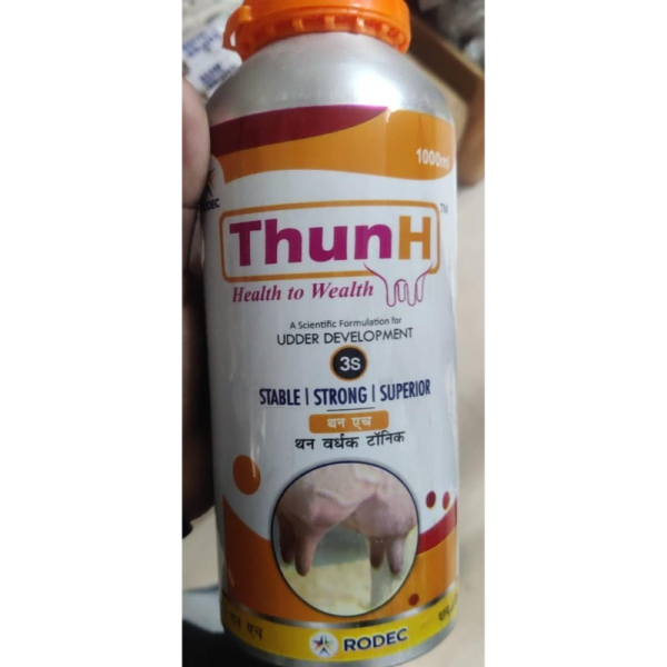 Thun H - Rodec