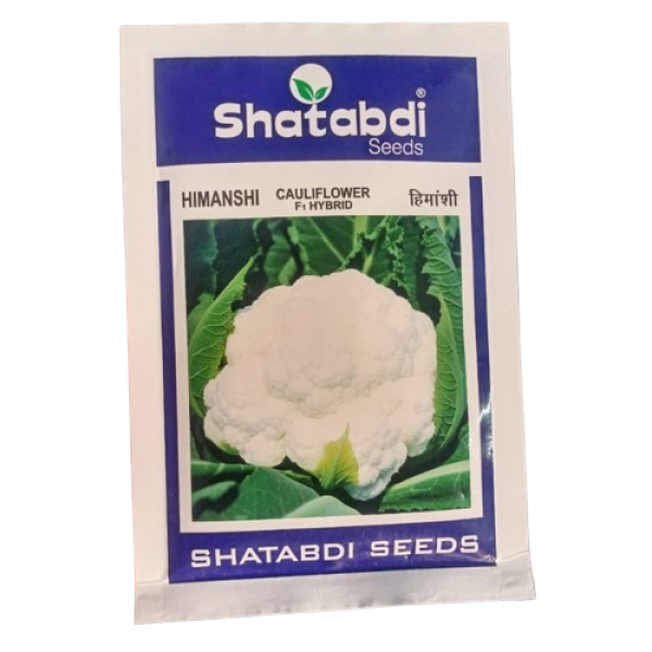 Cauliflower F1 Hybrid Seeds-Image