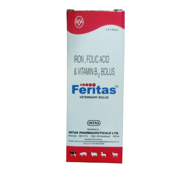 Feritas Bolus-Image