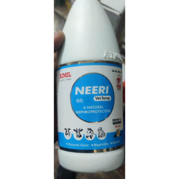 Neeri Syrup - AIMIL