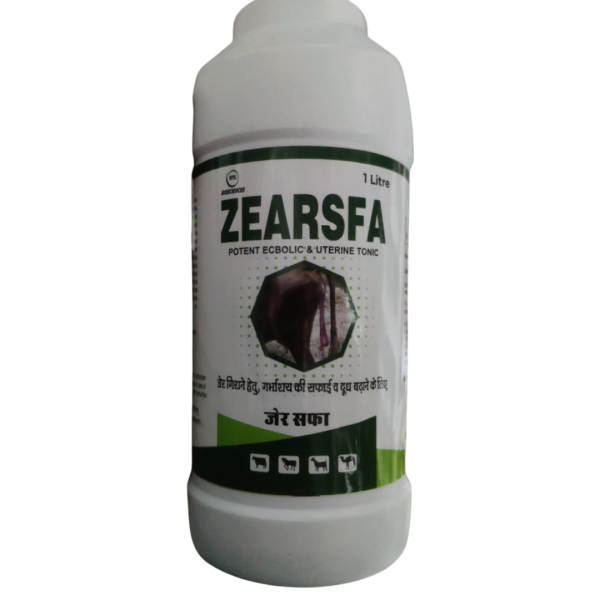 Zearsfa-Image
