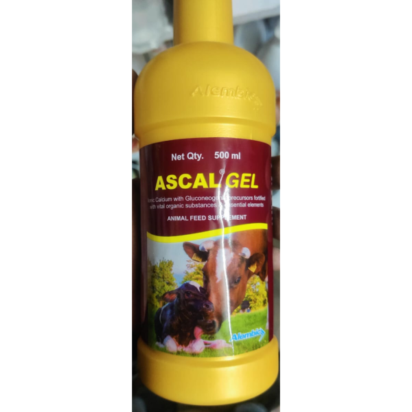 Ascal Gel - Alembic