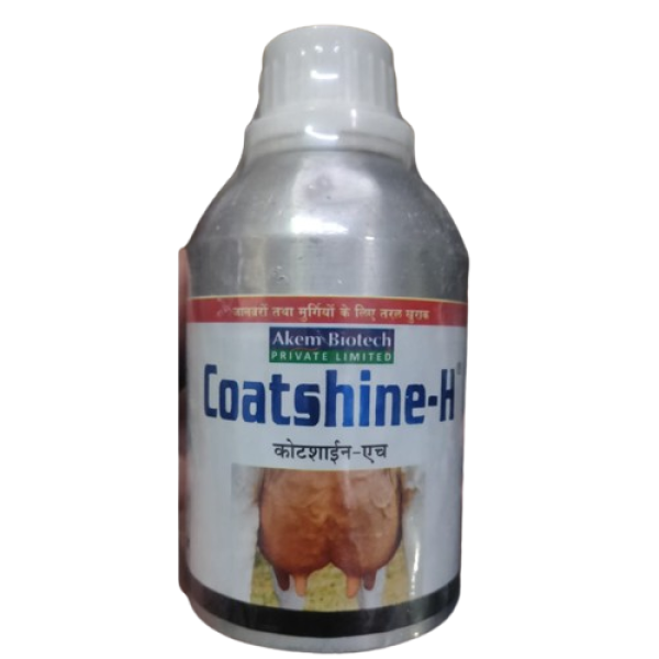 Coatshine-H-Image