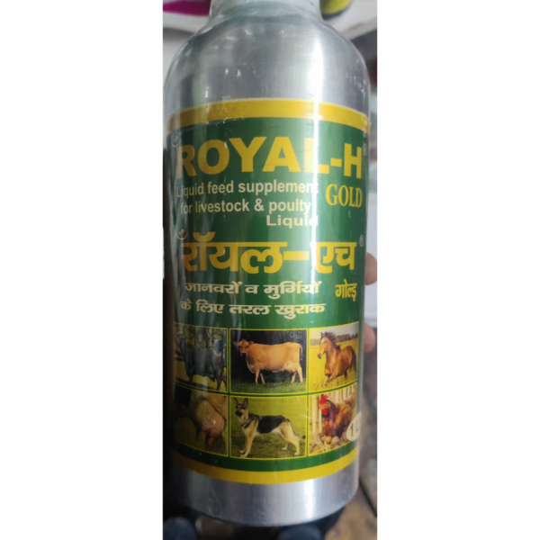 Royal-H - BTL Biosciences