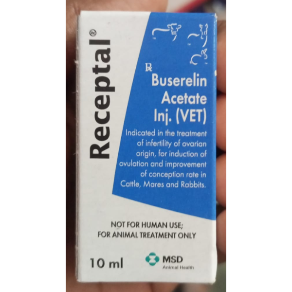 Receptal Injection - MSD Animal Health