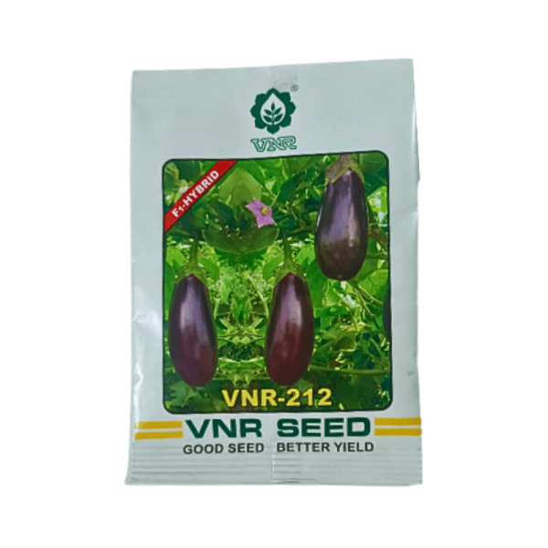 Brinjal Hybrid-Image