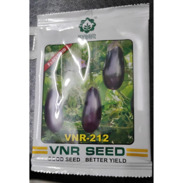 Brinjal Hybrid image 2