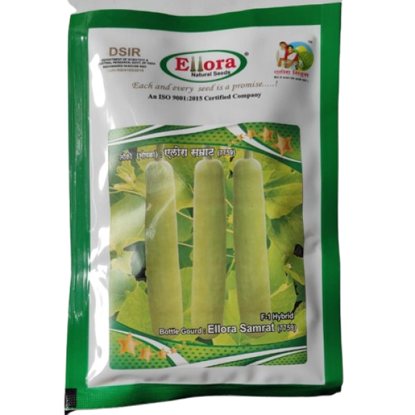 Bottle Gourd F1 Hybrid-Image