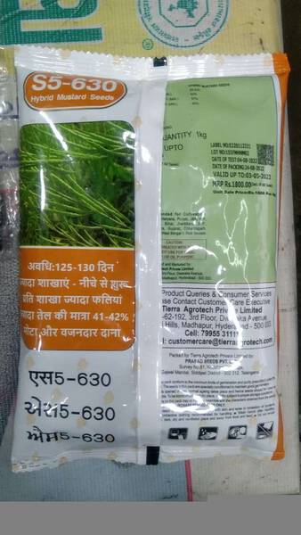 Mustard Seed - Tierra Seeds
