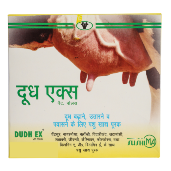 Dudh Ex Bolus - Sushima Pharma