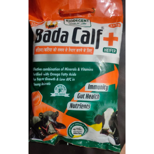 Bada Calf - BioDecent Pharma
