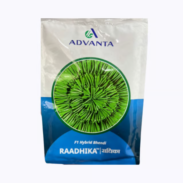 Hybrid Bhendi Raadhika-Image